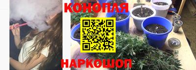 кокс Краснодар