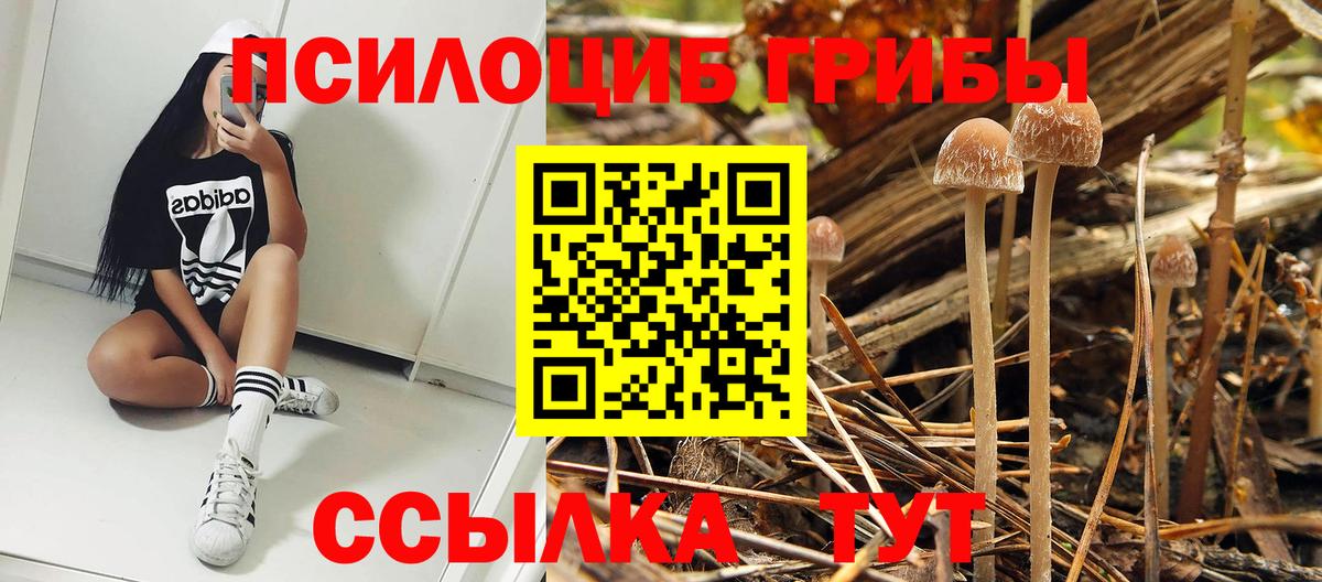 Зеленодольск  Псилоцибиновые грибы Magic Shrooms  Вход с VPN 