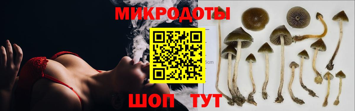 Псилоцибиновые грибы MAGIC MUSHROOMS Зеленодольск